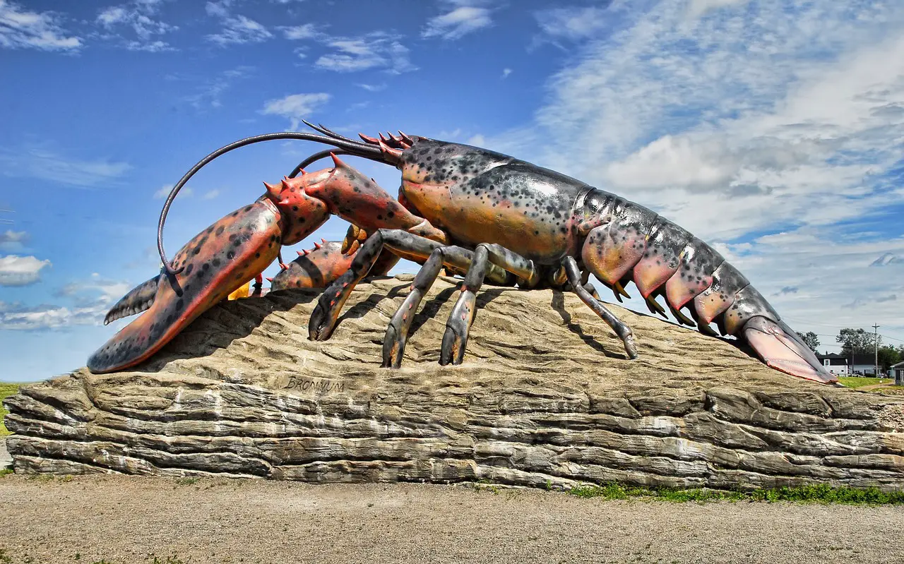big lobster in shediac